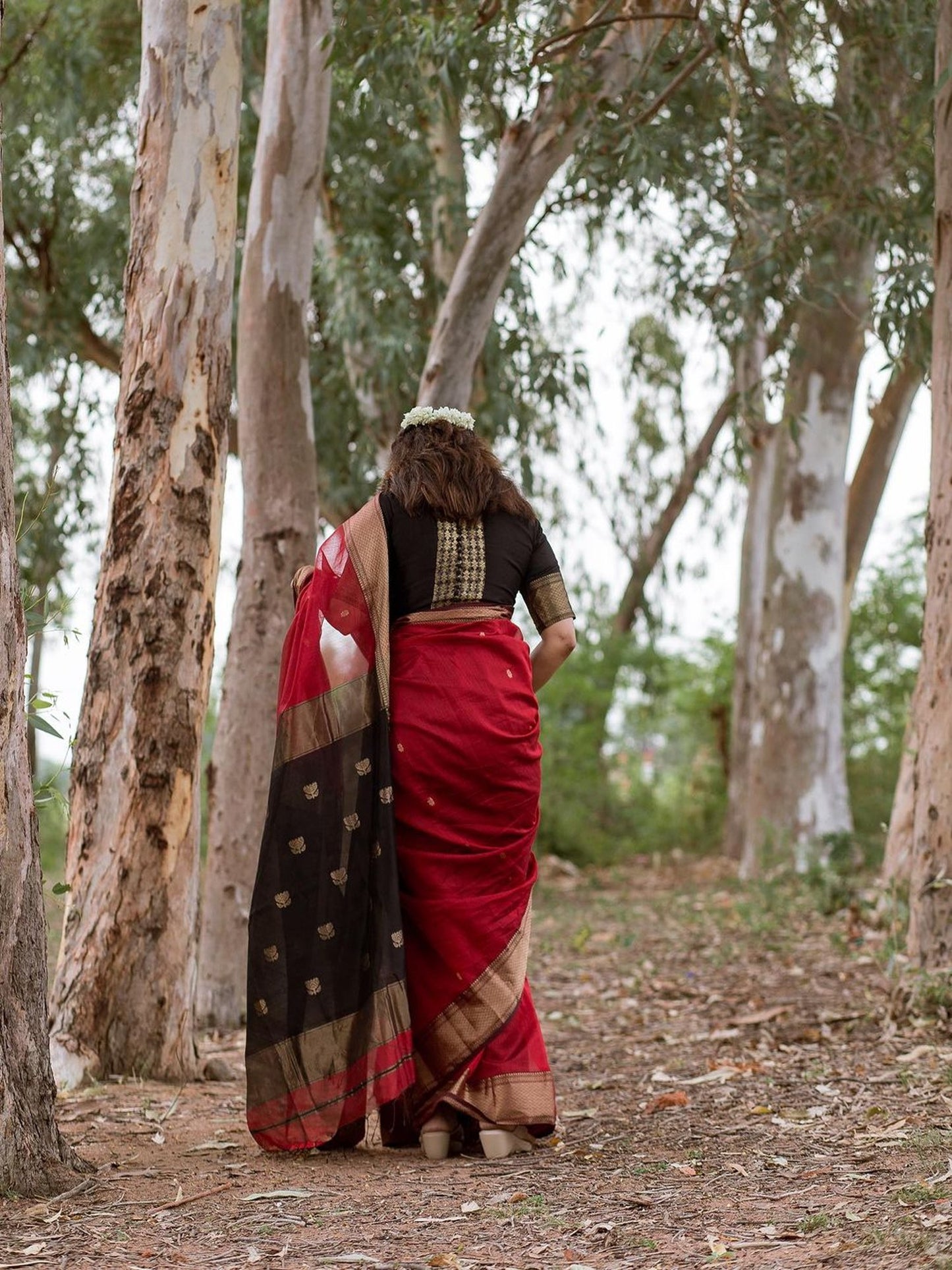 Maheshwari Red color Festival Edition Saree