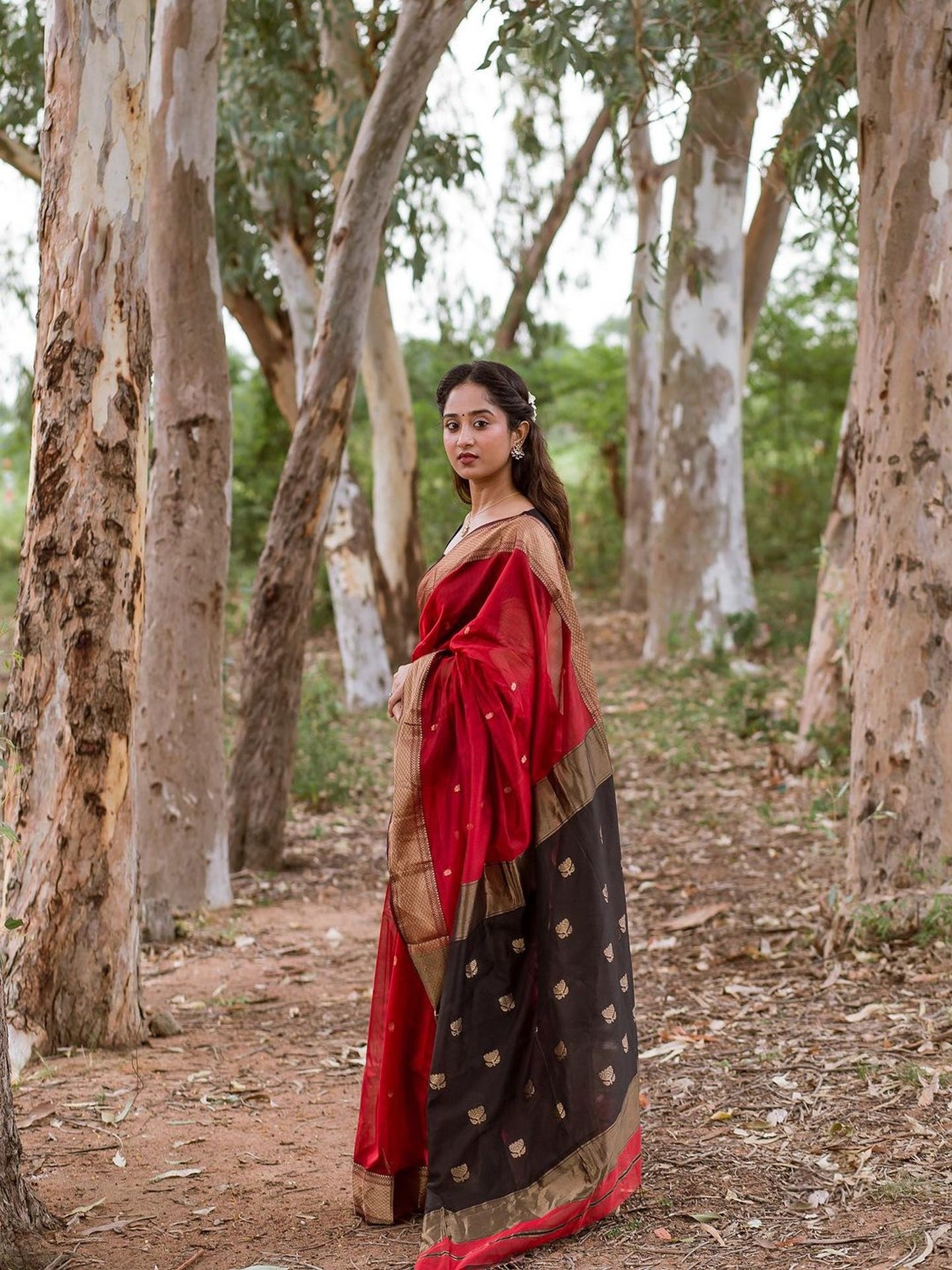 Maheshwari Red color Festival Edition Saree