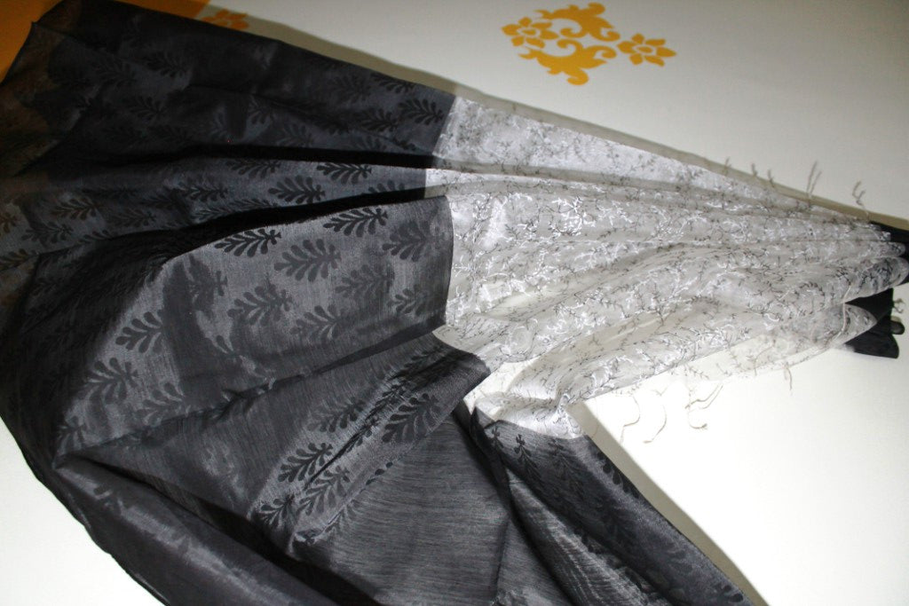 Maheshwari Organza Dupatta